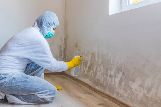 Mold Remediation specialist working in Maplewood